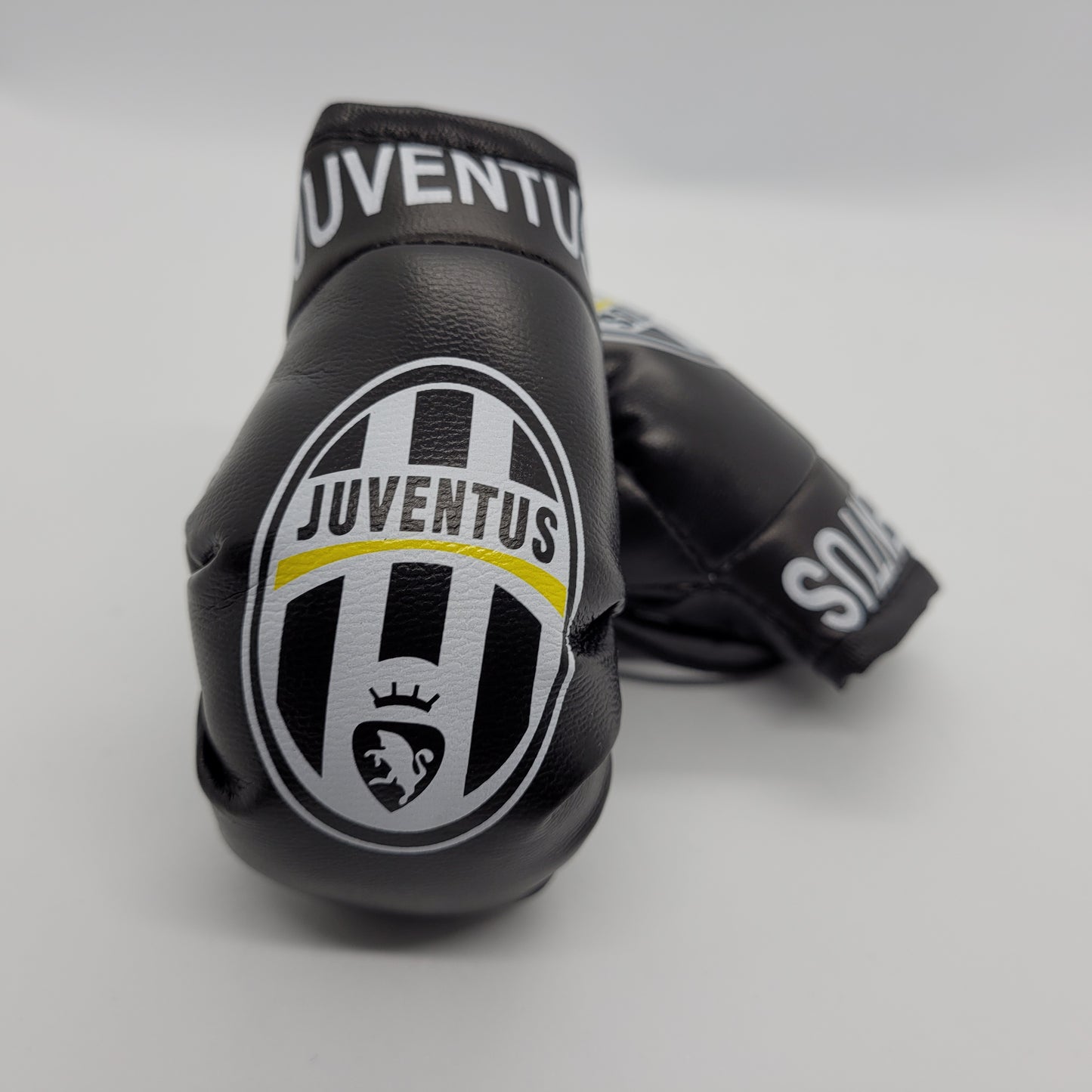 Sports Mini Boxing Gloves