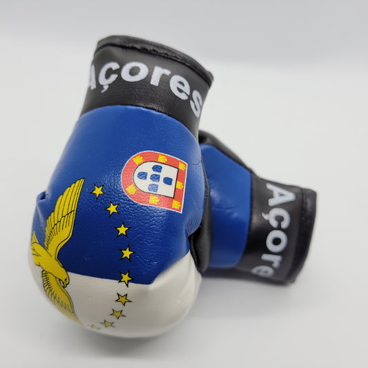 Mini Boxing Gloves