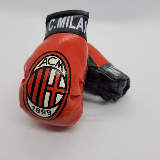 Sports Mini Boxing Gloves