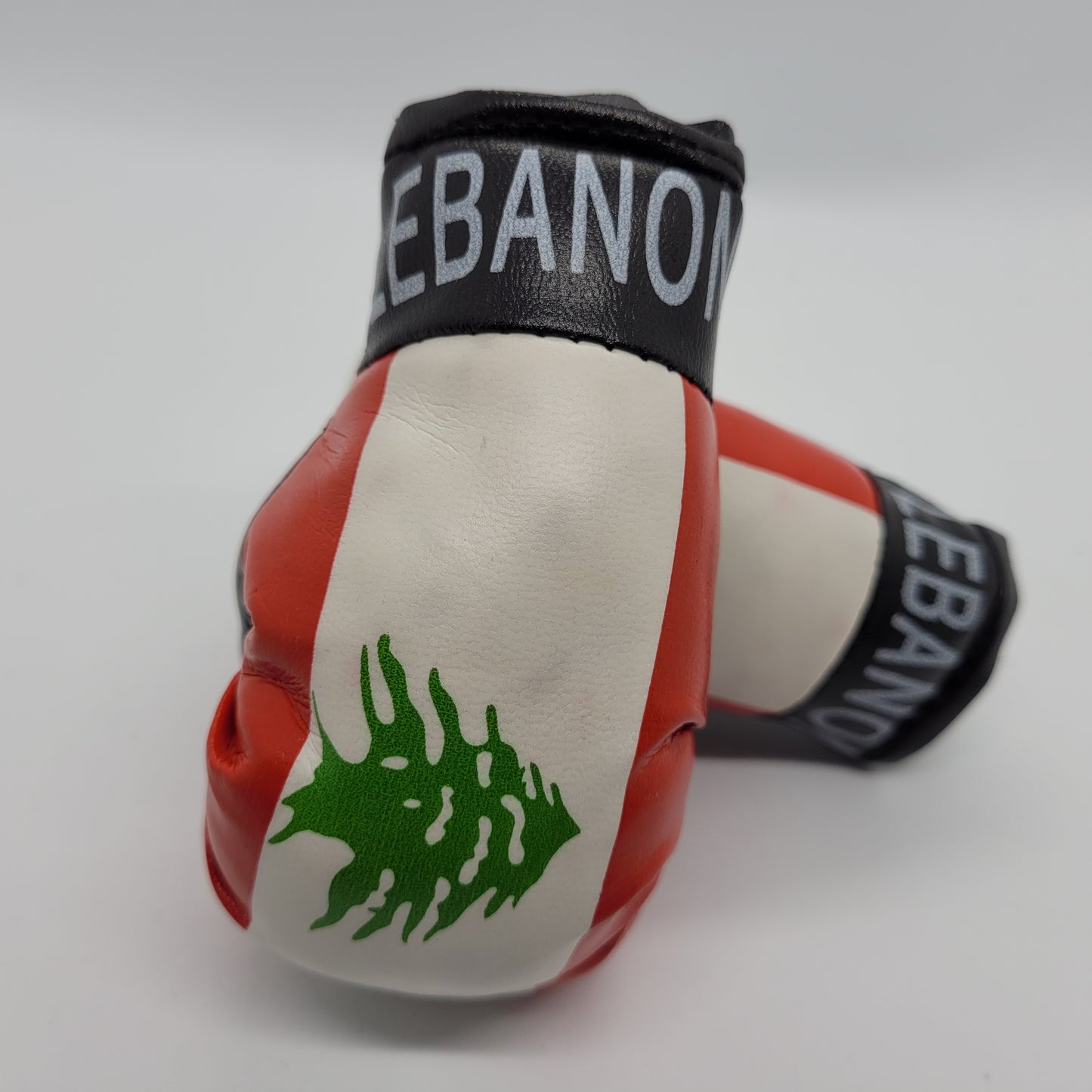 Mini Boxing Gloves
